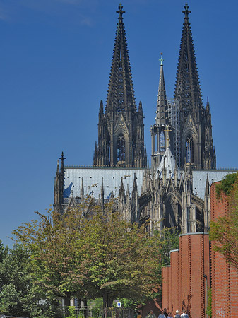 Fotos Steinmauer zum Kölner Dom