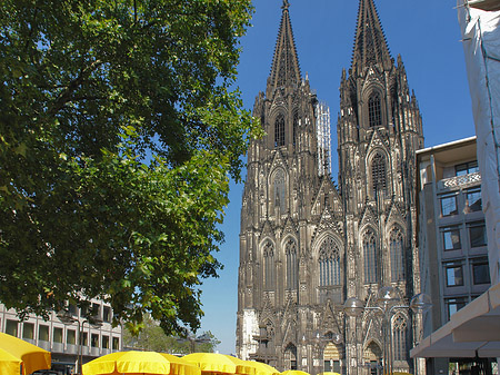 Fotos gelbe Sonnenschirme vor Kölner Dom | Köln