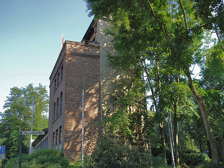 Foto Schule