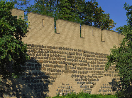 Fotos Stadtmauer am Sachsenring